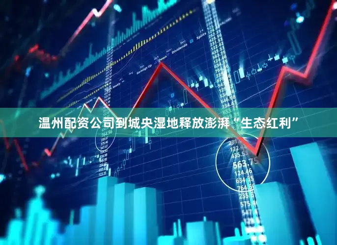 温州配资公司到城央湿地释放澎湃“生态红利”
